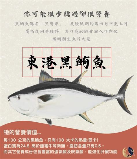 黑條魚|鮪魚與黑鮪魚有何不同？鮪魚到底有幾種？